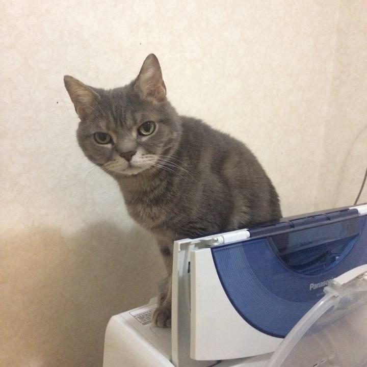 7784725a 309f 47b0 938a 7738cba1aad1