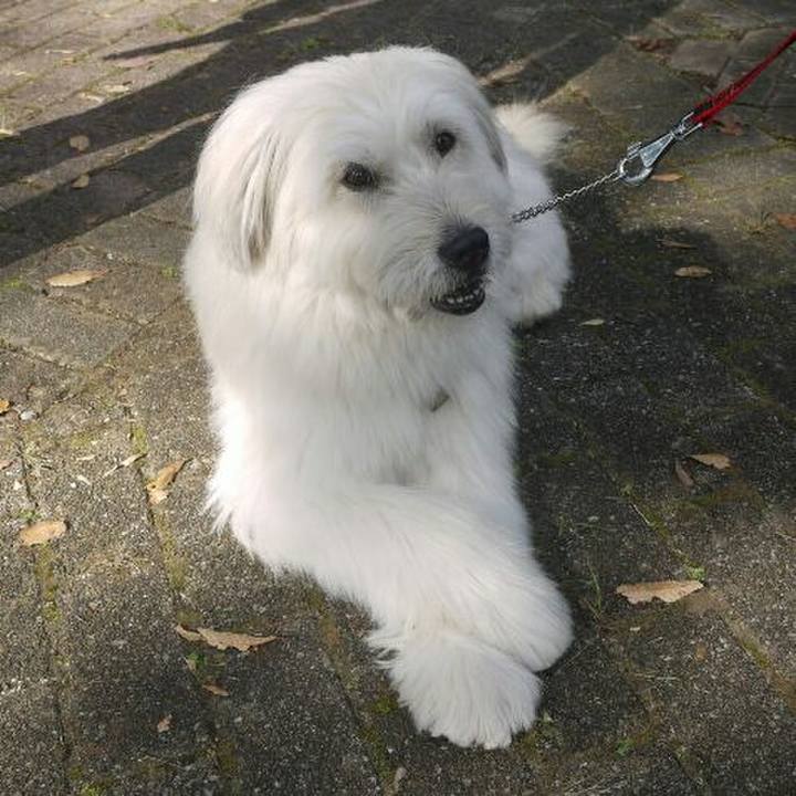 778490fe 9266 4c81 a97b 215077dcc1f9