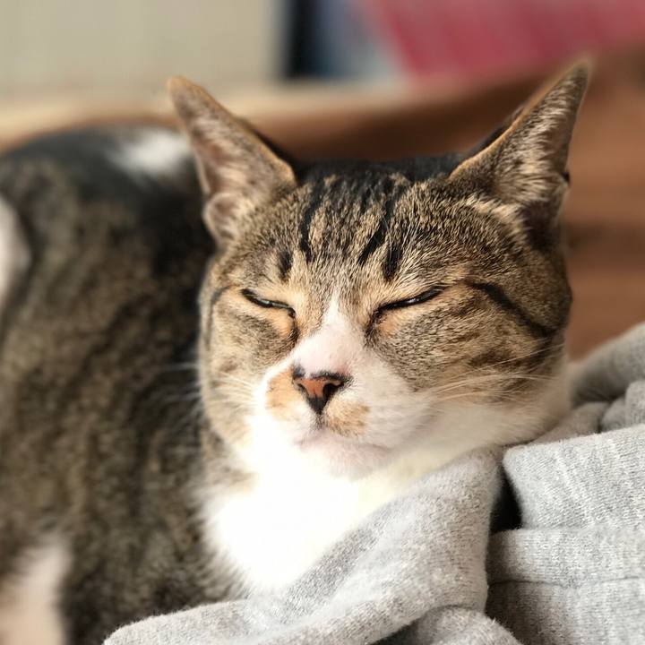 7784be75 b831 4f9c 915a 98981e189a0e