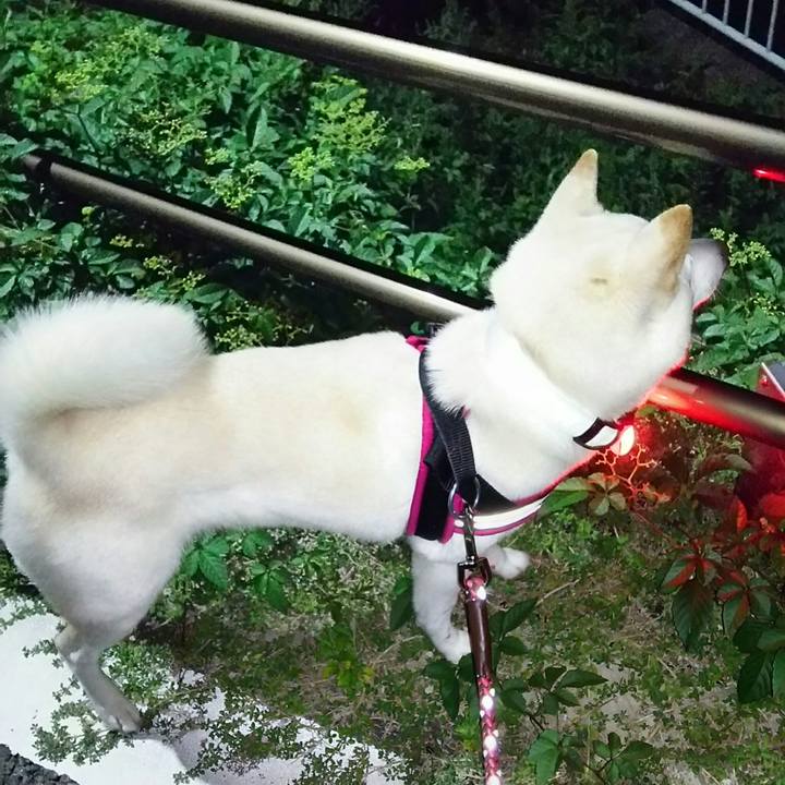 7784f0d6 81a2 4993 aff8 9d292944c5cf