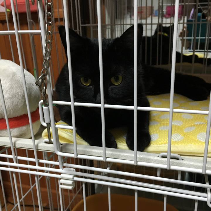 7784f832 1480 4b73 856f 9f58f498960d