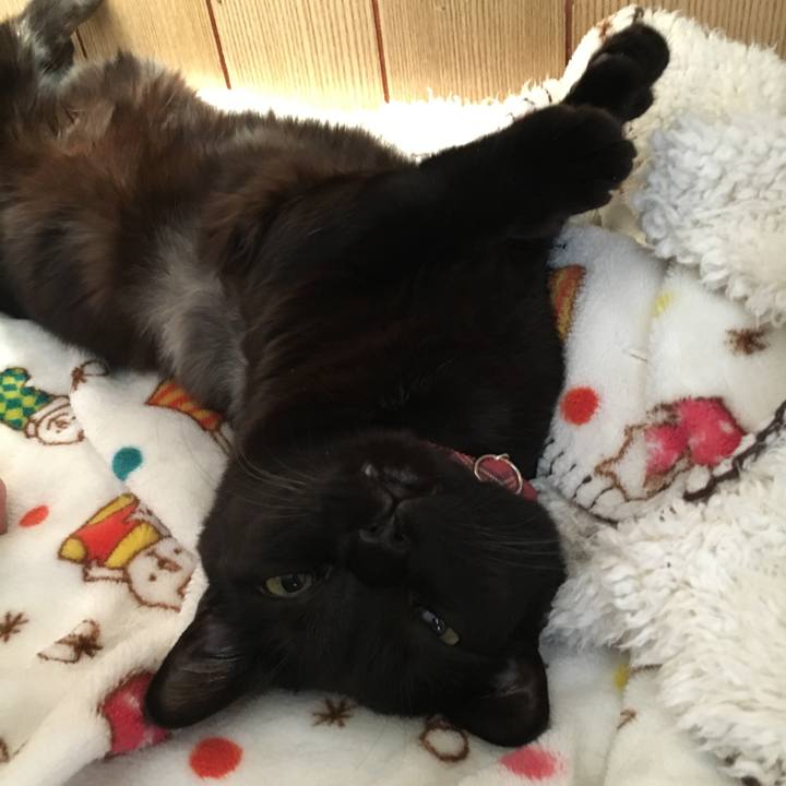 77867ec2 407a 4af4 ae64 bb0b4f629473