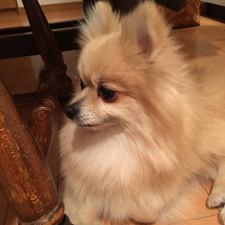 7786c738 d346 4c90 a7e5 2afc2cc9d4a5