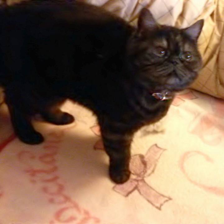 77872153 d6a0 46ef 8492 53e5924abc9c