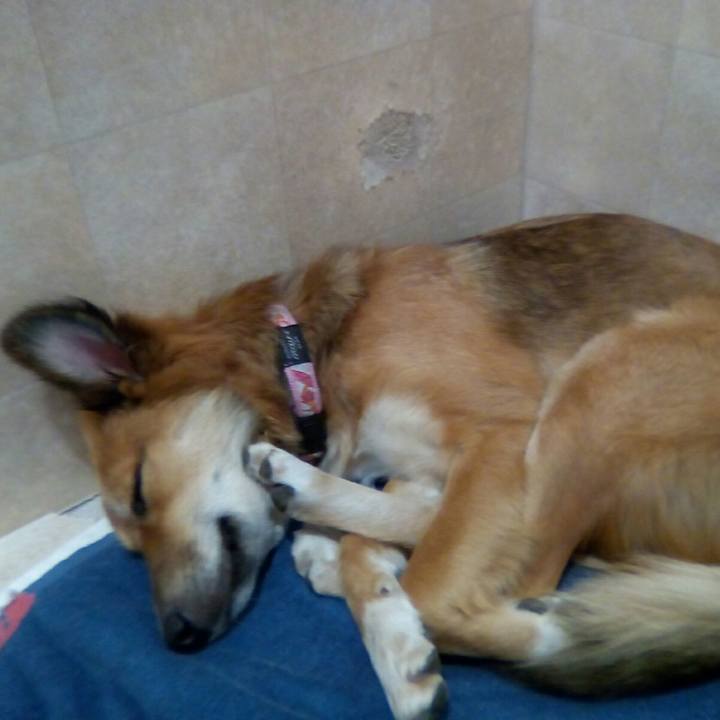 7787b010 c3c4 46eb a2bc 2ec04fde7466