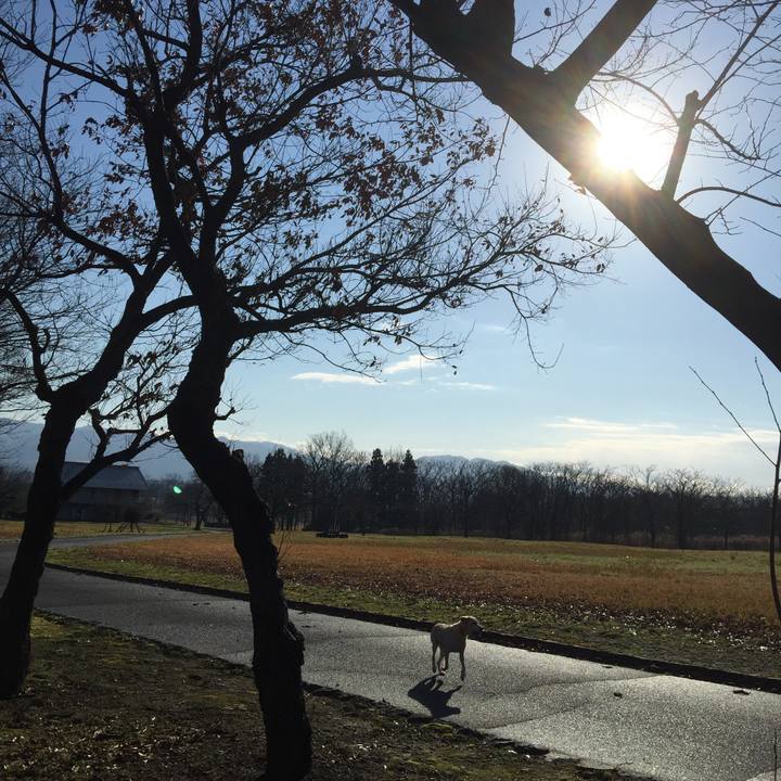 7787b363 7f64 4e11 a292 d574ea0f6d83