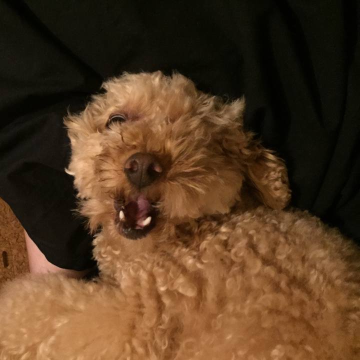 7789dc6e 4861 4937 bbed 41b5331a1e0b