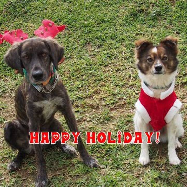 7789e406 207d 419d bdfd be93ca191ed4