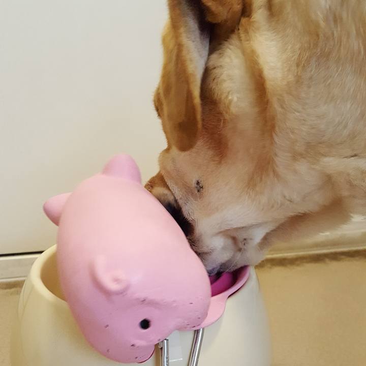 778a09d0 1134 4781 8a73 a4a6e6344697