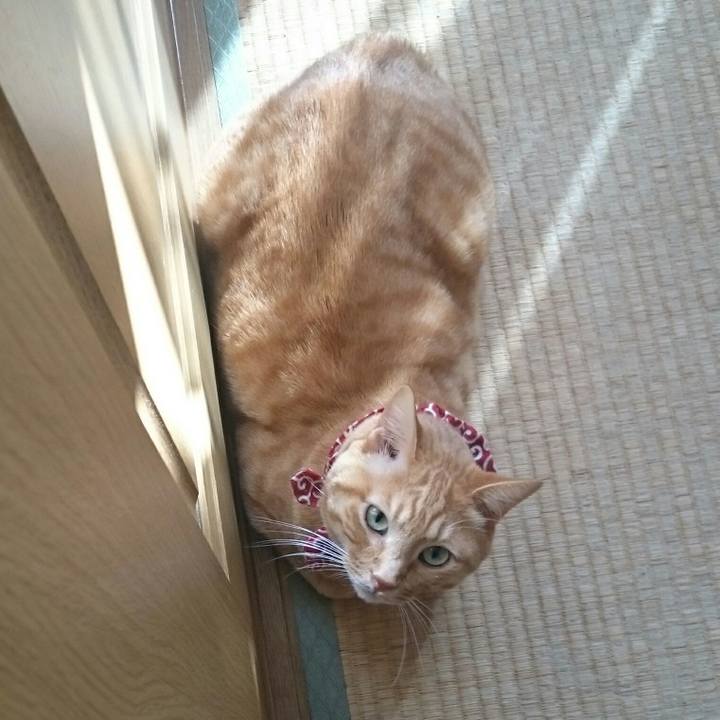 778a18b8 684e 4ce5 944e a9e479b6aea0