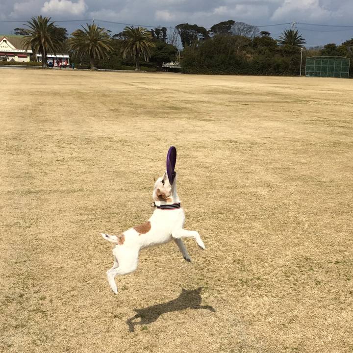 778b46e3 4b8c 4472 b7ed 0a4d440afbac