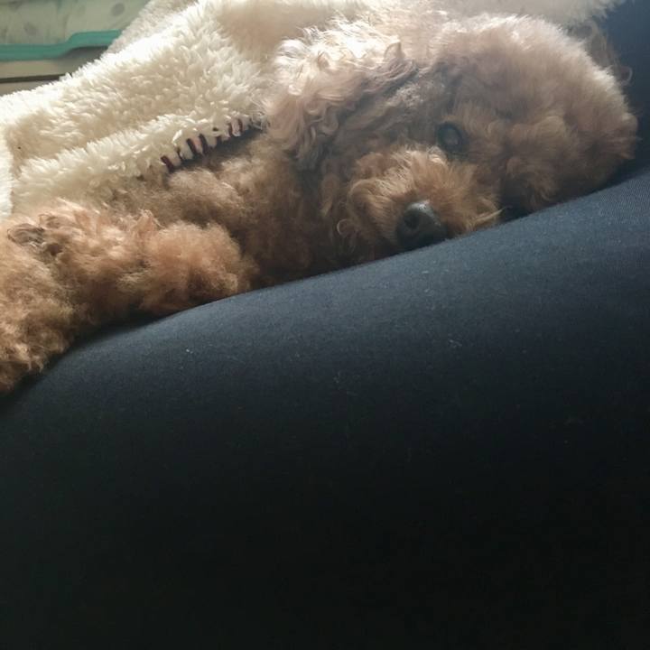 778ba323 9de3 4242 ac05 28d739fad2e1