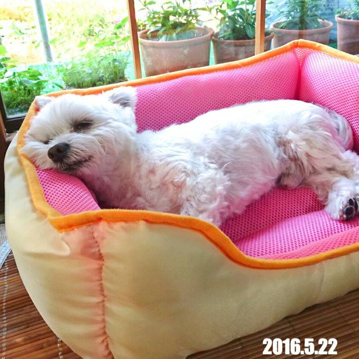 778c00eb 5257 437e a711 60026ab3b950