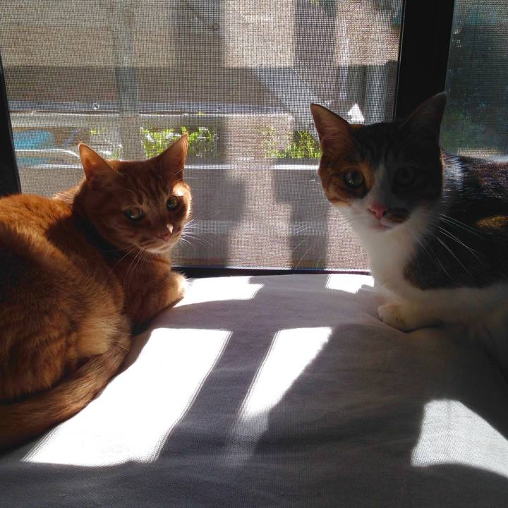 778c32f4 9752 49b5 b88e 87f770342a31