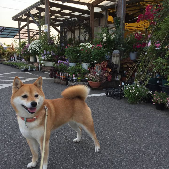 778c4bd2 78e0 43d4 95c7 4fd0c7d6edaf