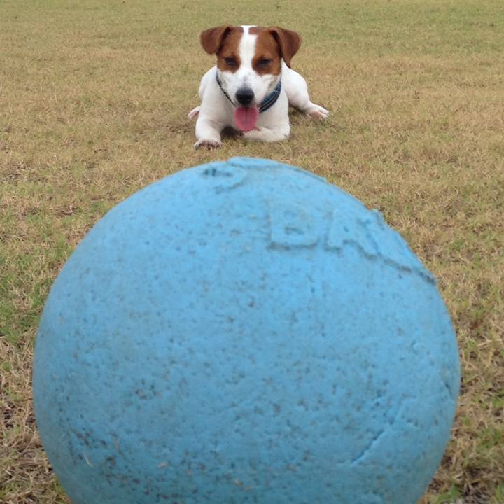 778c6307 e3d4 4a3e add0 12a7e32b1a84