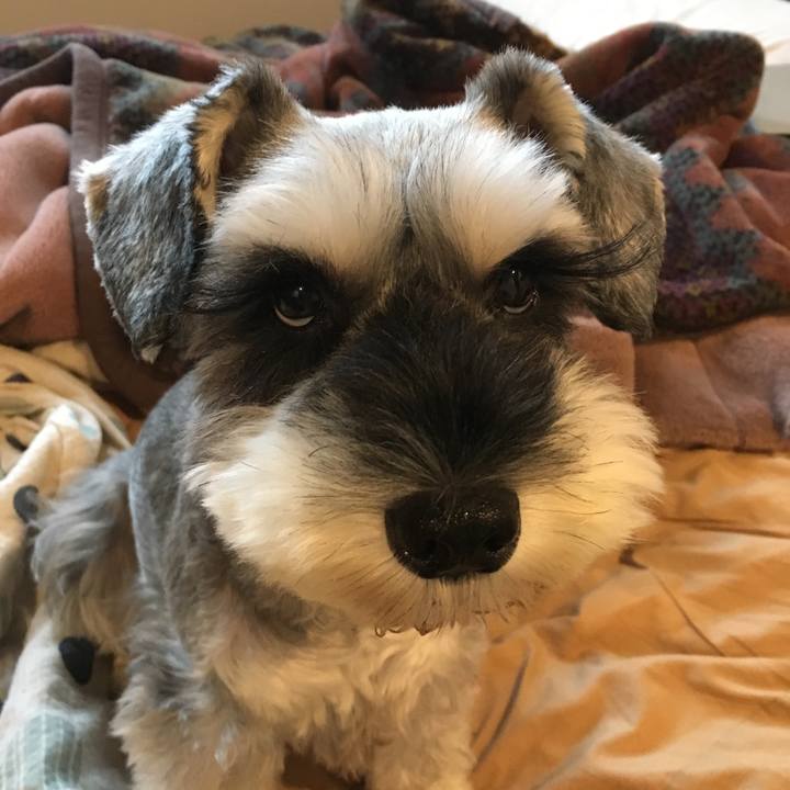 778c7628 bd07 49a4 9be3 a93beed5c22a