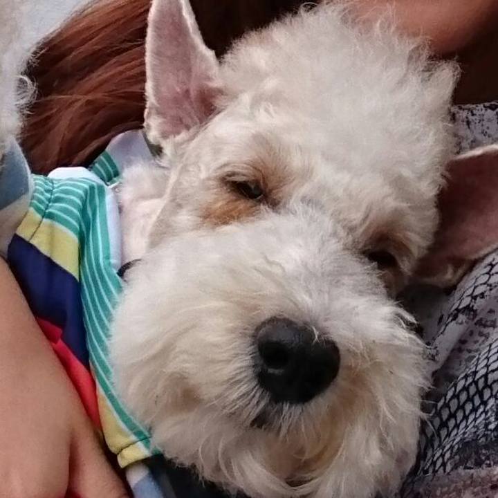 778d56c7 efa1 4017 818b f13759f41732