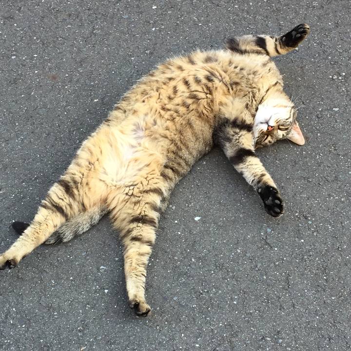 778e0eab 584e 4b3b 8ed8 3dabecab9f7b