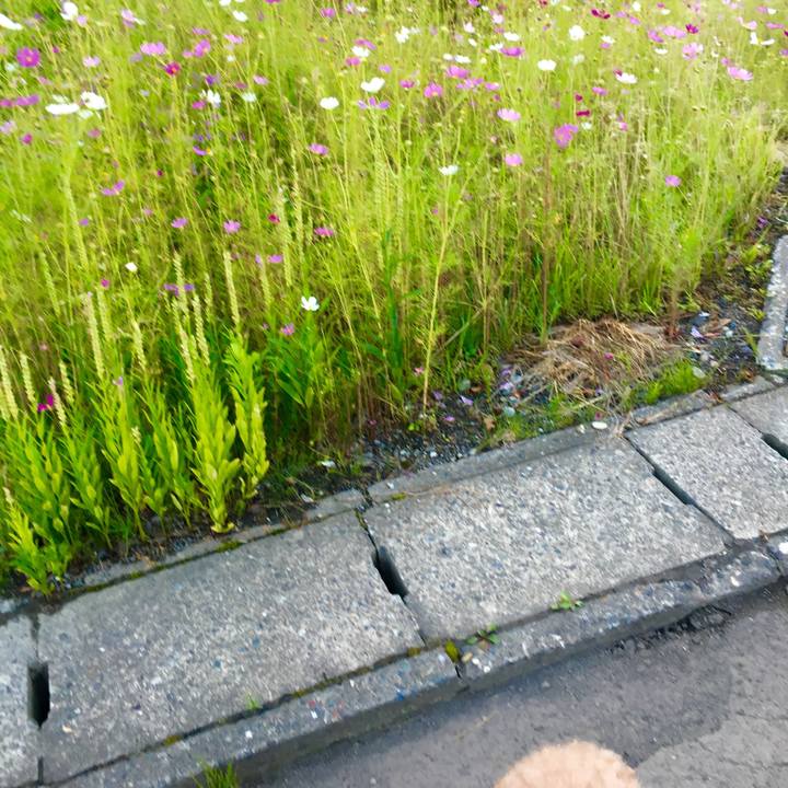 778f1142 f634 4d68 b35d f7036953f8e0