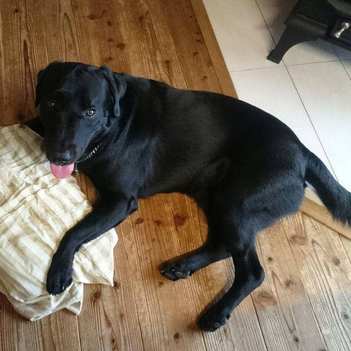 778f58bd 649d 4b44 82ef f34b9914d4aa