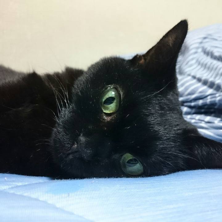 778f687d a981 4467 94ce ace1030773c7