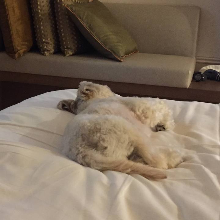 77907675 3d6a 4c81 a450 e327e1dd1085