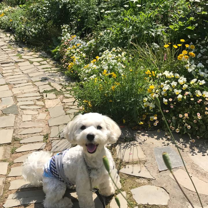 7791002e 94e9 498a 94c2 555ec5e1cc22