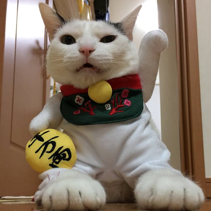 77912313 aace 4024 95e1 d625acf52bc3