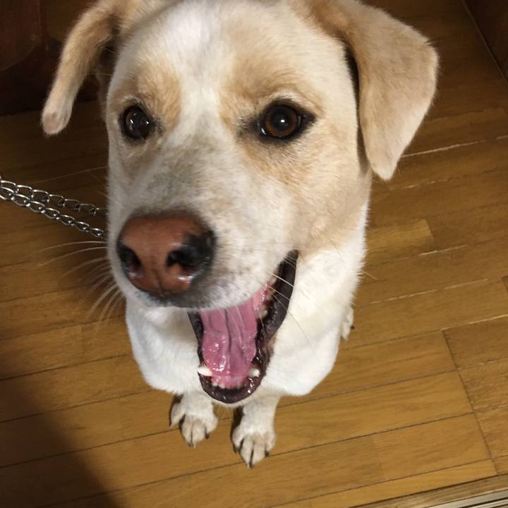 7791535e 4863 4a12 a910 357aad03b627