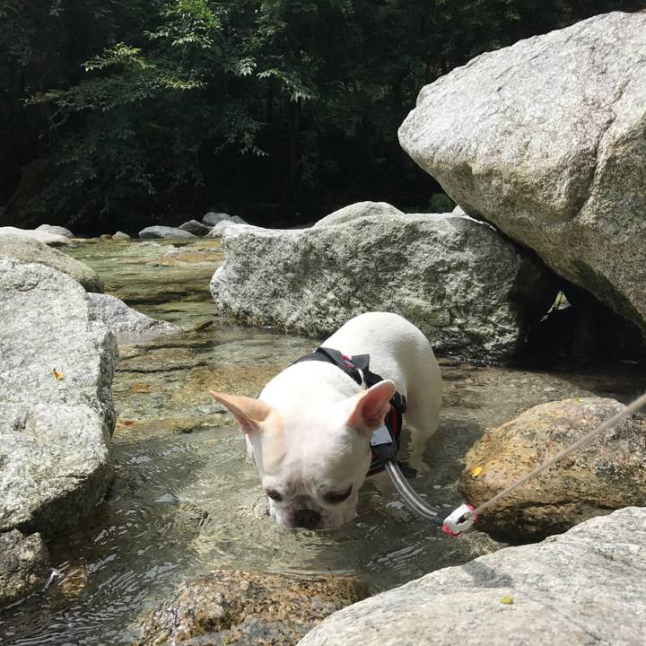 7791d68c c4a4 45a2 b295 a4c8b19b5d9d