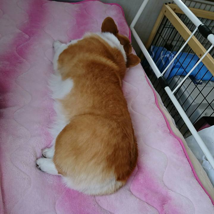 77924c88 1638 43fa 9da7 8b35a2a42594