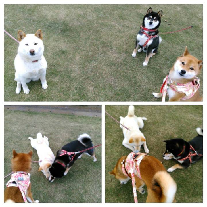 7792d60d e41e 4f03 9b69 3472bca1ea18