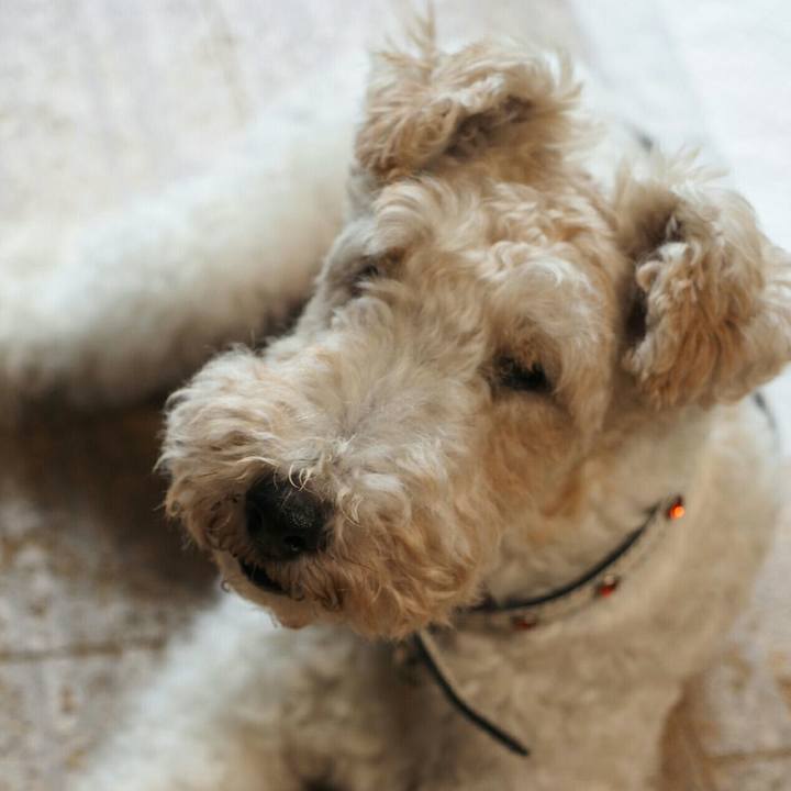 7792f734 ba7d 42dd a39b 4c088613c012