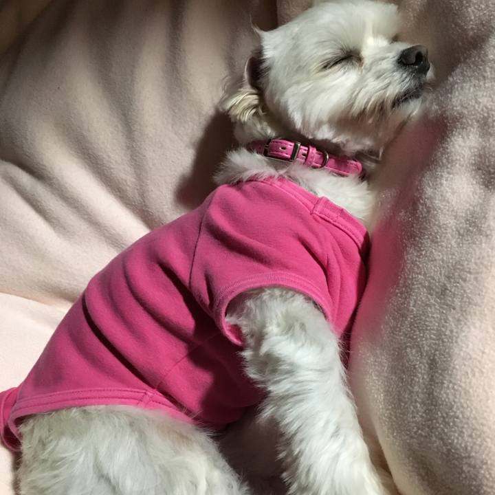 7792fdb6 537a 4527 9a4e a6e077e2b5e6