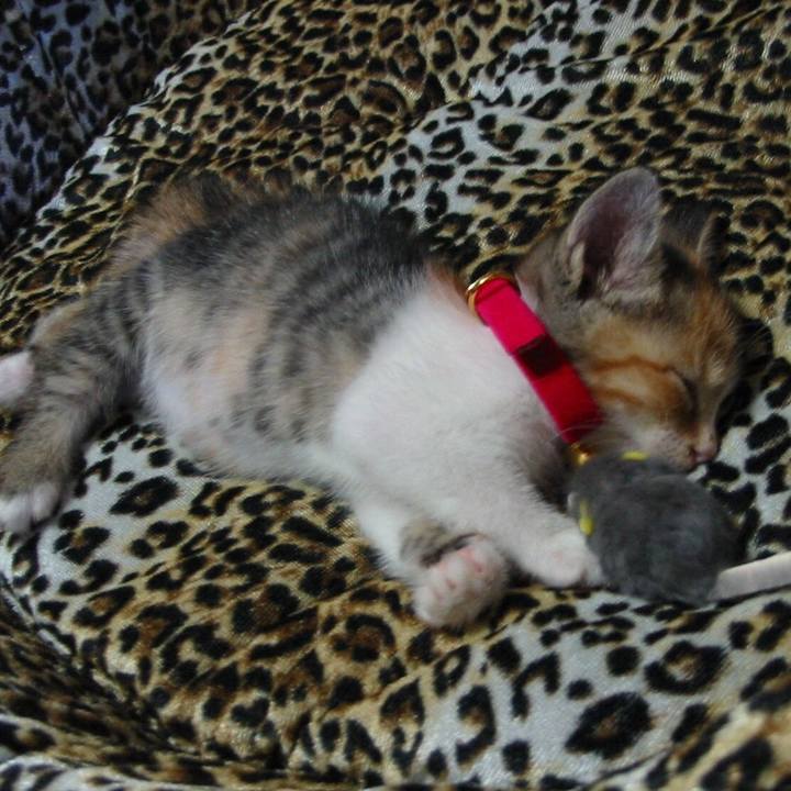 7793329d 363c 4ff8 8589 08e8f3c59955