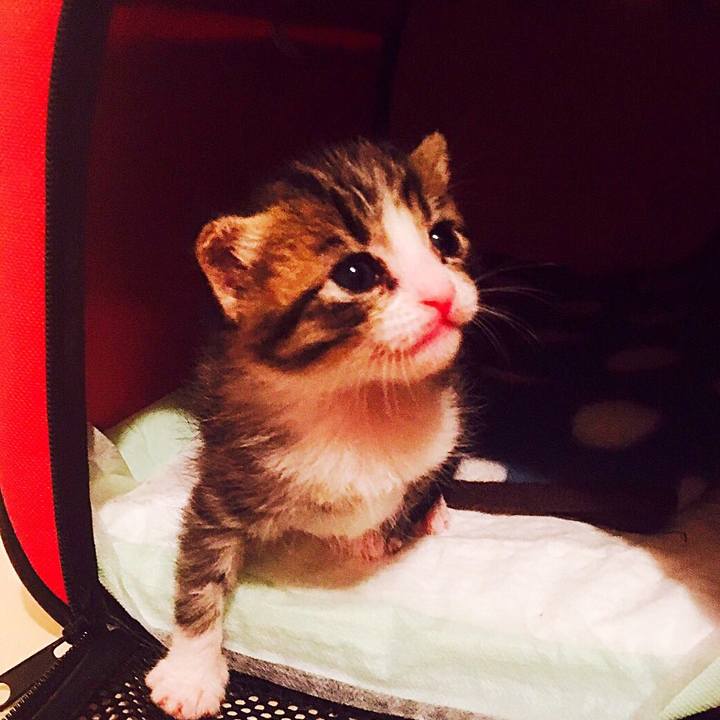 77937ebd 16e6 485a 9d2f 4a29e3b466a7