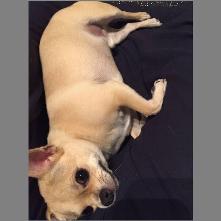 779408ae 5261 4b78 92aa 77bba0746b12