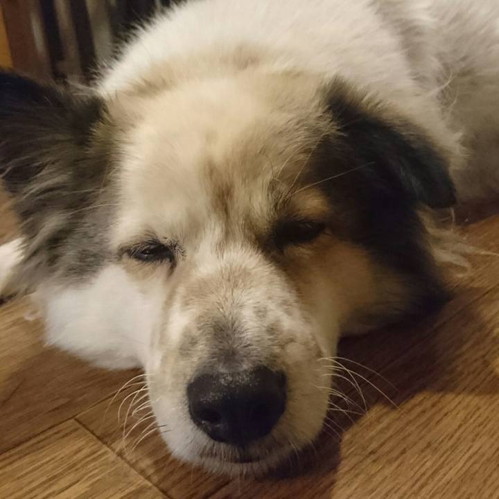 77943f5b cea3 4057 b2ea 6b59c1d6b957