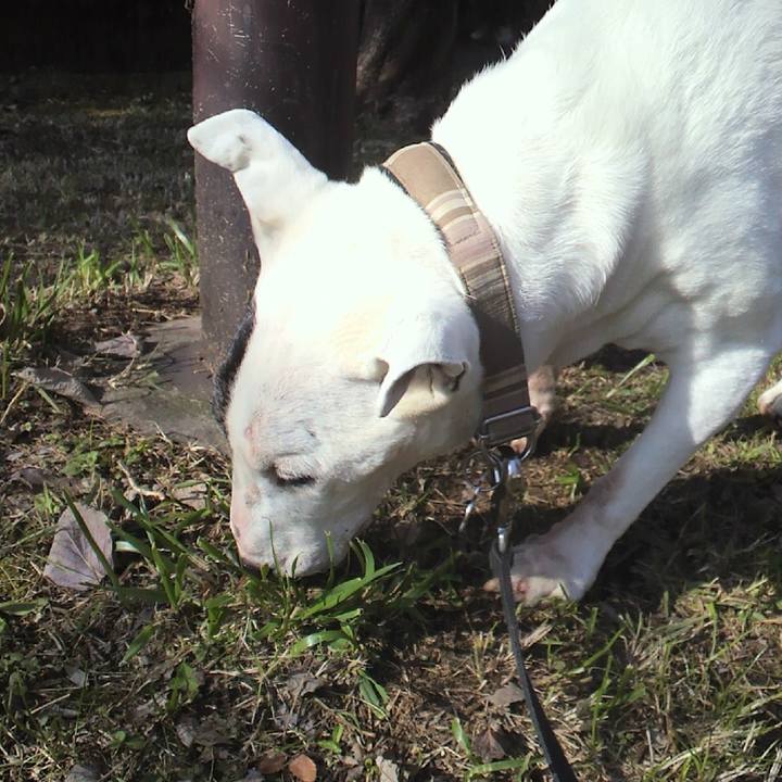 779585dd 02af 4711 9325 c6a8849b49ed