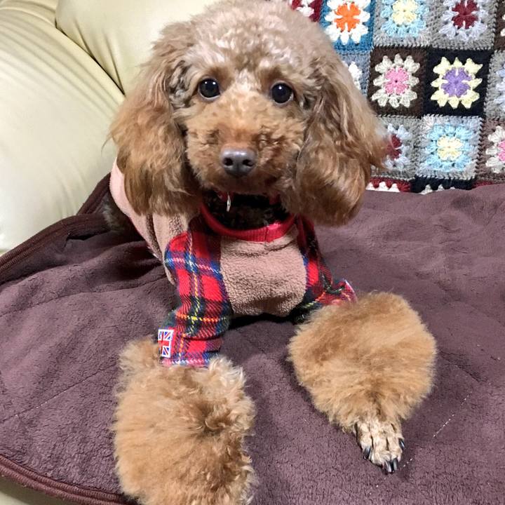 77965419 127a 41d5 920d 32c8d4ca322d