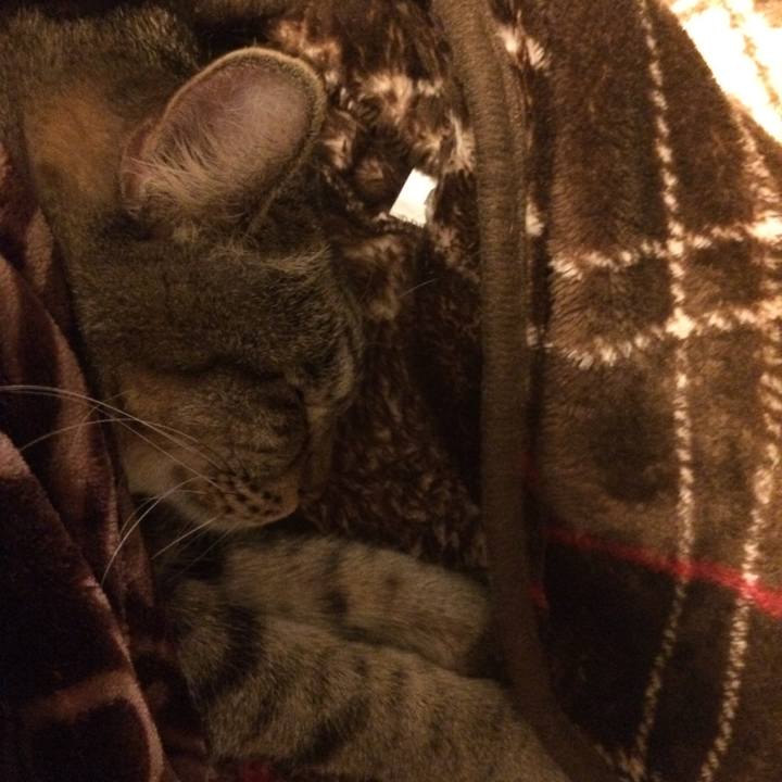 779681ae 5c83 4368 b2ab 1447b68694bf