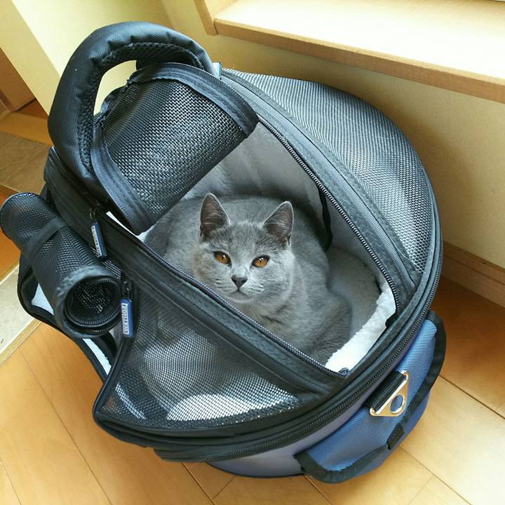 7798346f cf95 4809 81a2 552e13752b5f