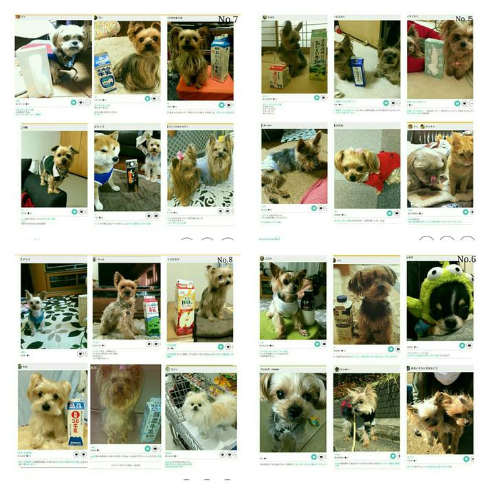 7798395a 1909 494f 8225 b982b3ed2133