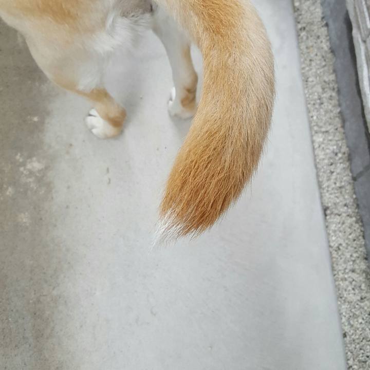 7798a34d 9d1c 409d ae95 e3224fc21af1