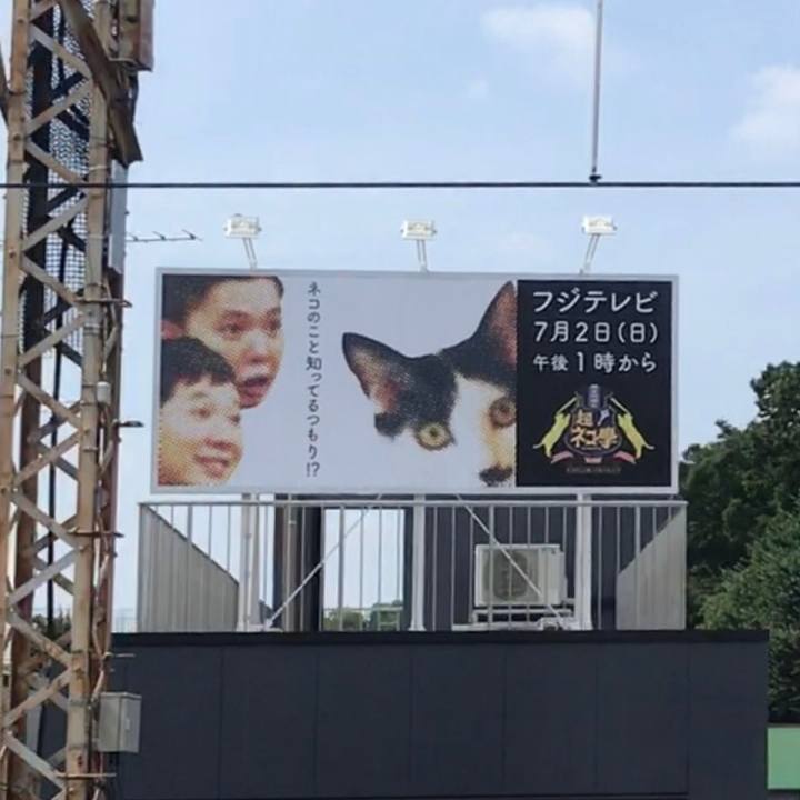 7798d21a 2a58 4726 97d1 4674172f4ae7