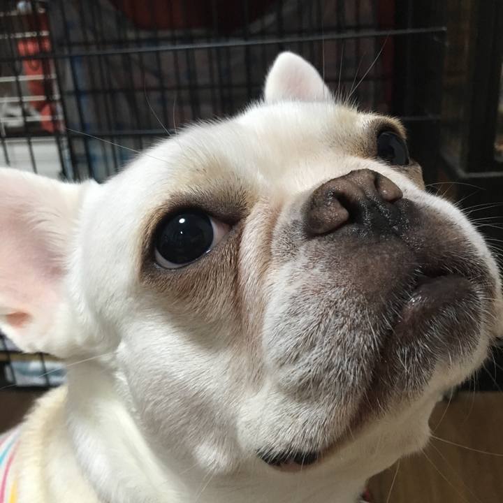 7798e810 afe1 4a72 94d6 40d8c18192c3