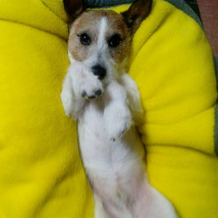 77993aec 0f7d 48fb a615 48a6740b9ae3