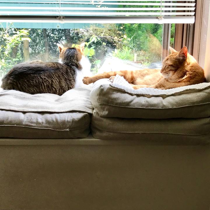 7799d635 ff84 49ea 9207 ca1d5184a6e3