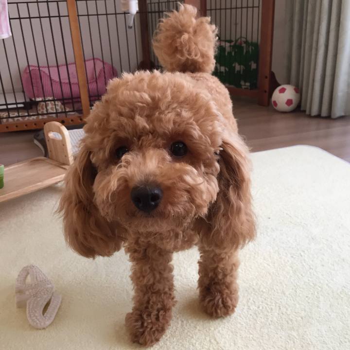 7799e629 fecd 414f b4d6 6ae43db7035c